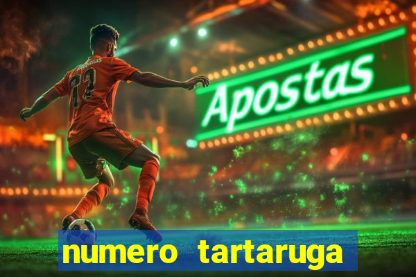 numero tartaruga jogo do bicho